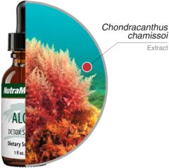 Algas Nutra Medix ingredients