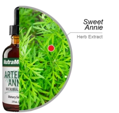 Artemisia Annua Ingredients