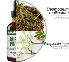 Burbur Pinella Nutra Medix ingredients