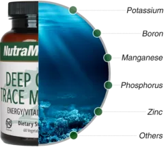 Deep Ocean Trace Minerals Nutra Medix ingredients