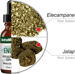 Enula Nutra Medix ingredients