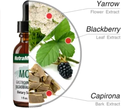 Mora Nutra Medix ingredients