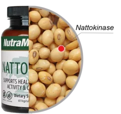 Nattokinase Nutra Medix Ingredients