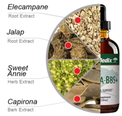 Nutra BBS 4oz Nutra Medix ingredients