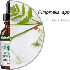 Pinella Nutra Medix ingredients