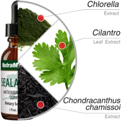 Sealantro Nutra Medix ingredients