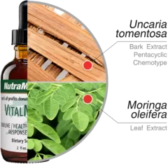 Vital Nutra Medix ingredients