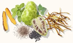 Nutra hist ingredients 2