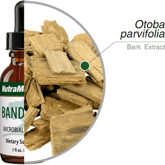 Banderol