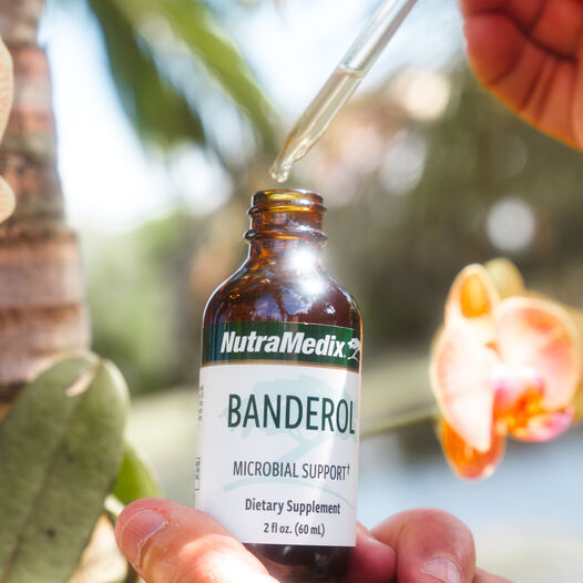 Banderol