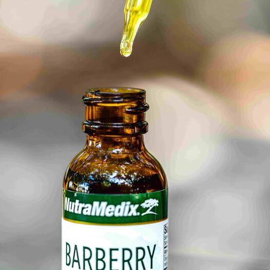 Barberry