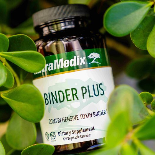 Binder Plus