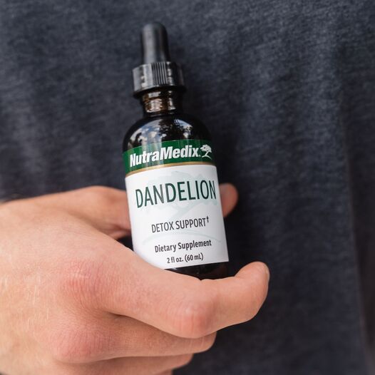 Dandelion