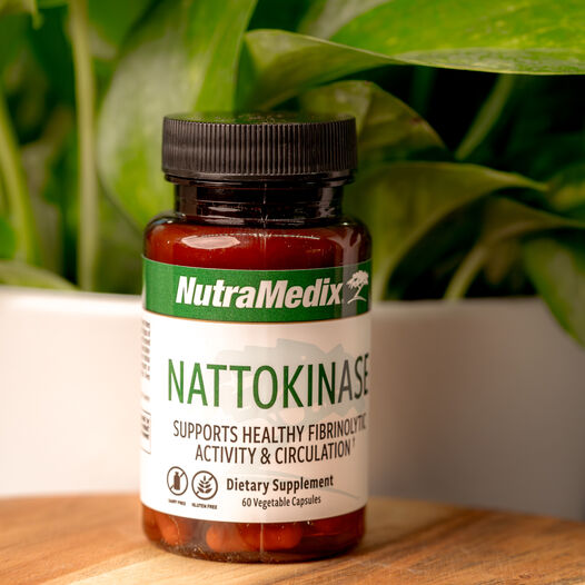 Nattokinase