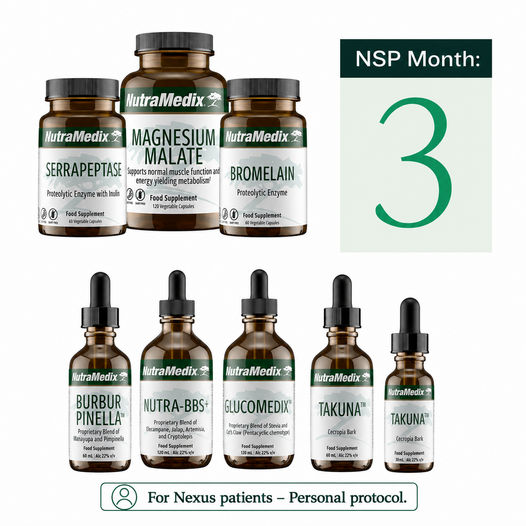 Nexus Support Program Month - 3