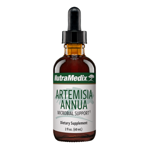 Artemisia Annua