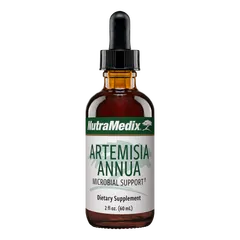 Artemisia Annua