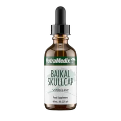 Baikal Skullcap