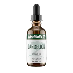 Dandelion