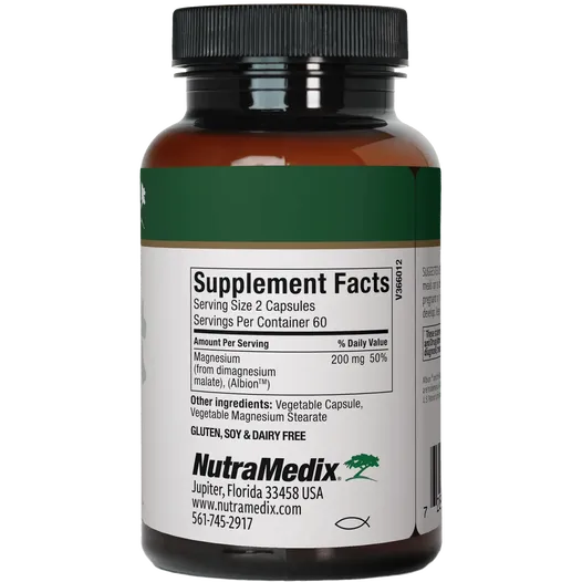 Fitness Supportᶧ Bundle