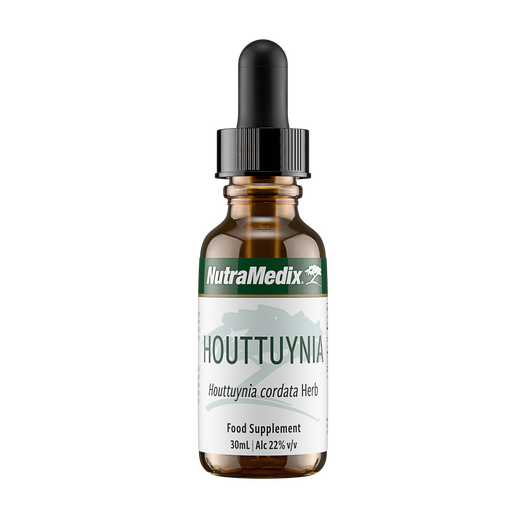 Houttuynia