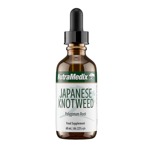 Japanese Knotweed