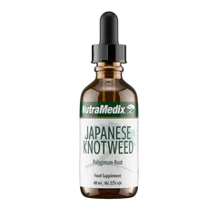 Japanese Knotweed