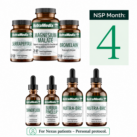Nexus Support Program Month - 4